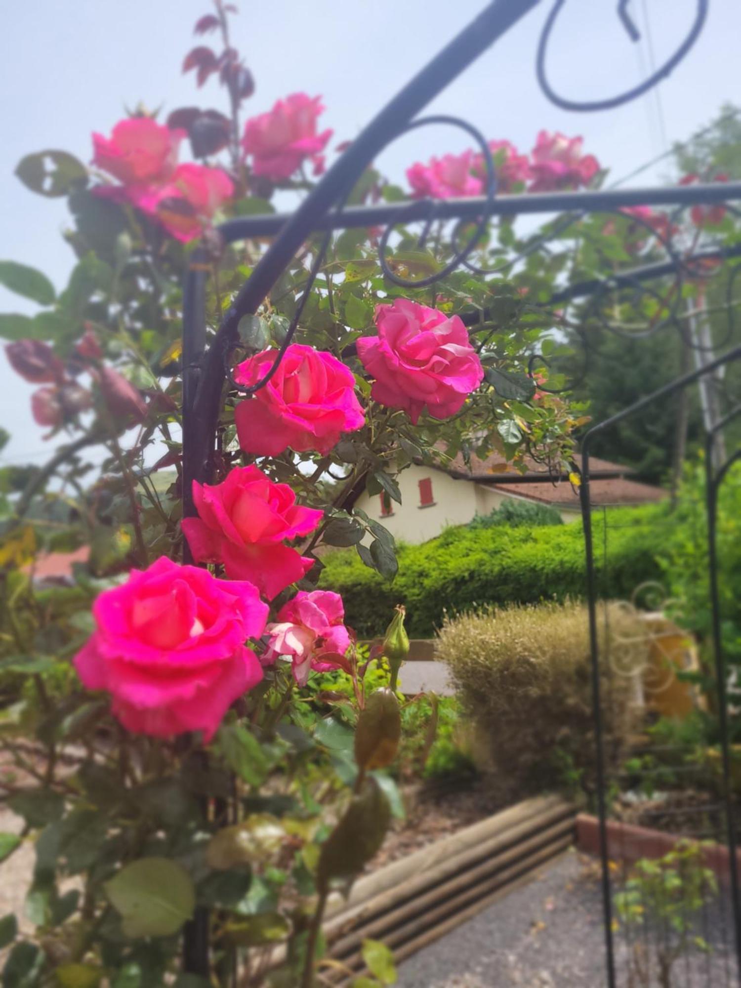 Gites Les Grandes Voies - Cle Vacances Le Menil ภายนอก รูปภาพ